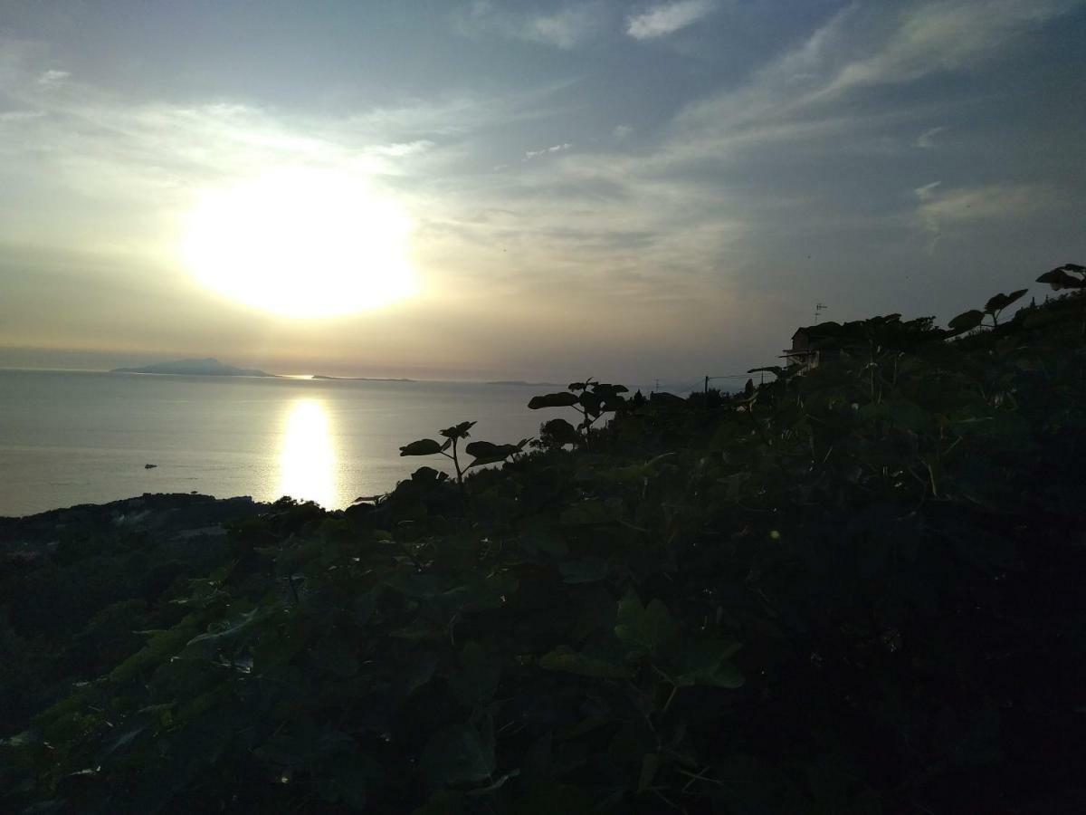 דירות מסה לוברנסה La Vista Sul Golfo מראה חיצוני תמונה