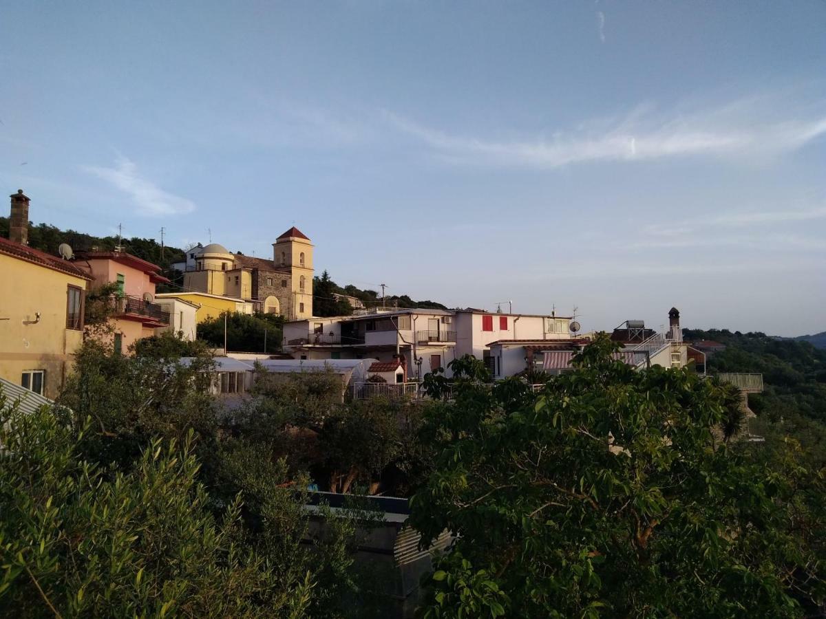 דירות מסה לוברנסה La Vista Sul Golfo מראה חיצוני תמונה